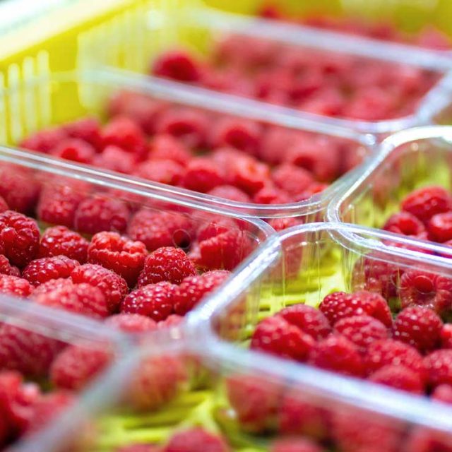 Punnets of raspberries